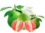 TRỊ SẸO HIỆU QUẢ VỚI BƯỞI