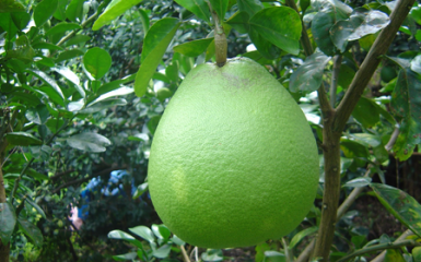 Ảnh 2
