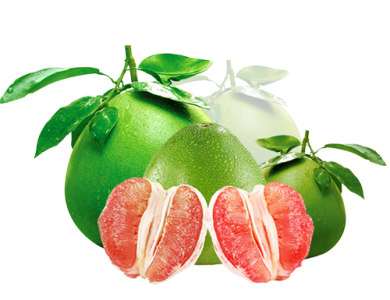 TRỊ SẸO HIỆU QUẢ VỚI BƯỞI